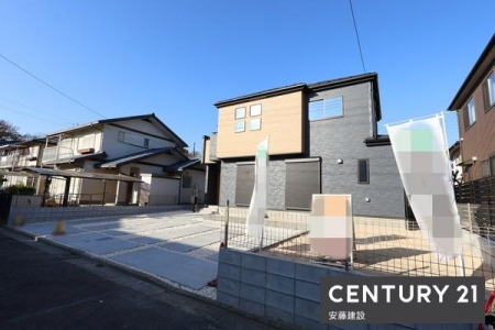 ���̑����n�@-