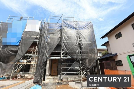 ̑n@DǔF蕨I
NKɉ߂鐫\
