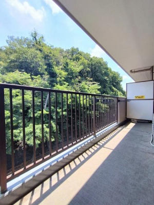 oRj[@y@oRj[@/@Balcony@z
rOAmo\ȓ쓌oRj[I
z肪悭󕨂芣܂
