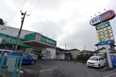 ���ӊ��@�y�h���b�O�X�g�A�z�h���b�O�Z�C���X���q�X�F856m