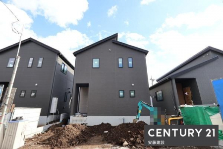 ̑n@DǔF蕨I
NKɉ߂鐫\
