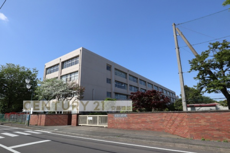 ӊ@ywZz߃s hwZF421m