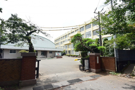 ӊ@ywZzzs哌wZF995m