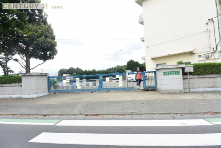 ӊ@ywZzsዷwZF930m