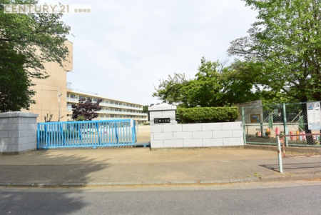 ӊ@ywZzs@яwZF312m