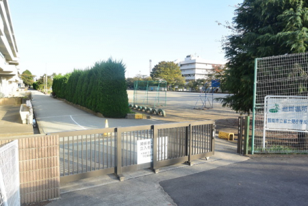 ӊ@ywZzє\sxmwZF958m