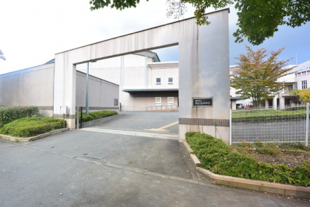 ӊ@ywZzє\s䒆wZF1418m