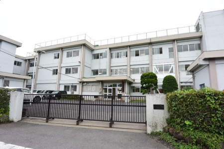 ӊ@ywZzs포wZF1924m