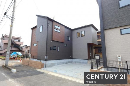 ���̑����n�@�~�n��40�؂̂�Ƃ肠��L���̊J���I�Ȗk���p�n