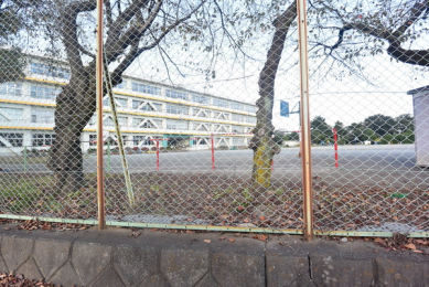 ӊ@ywZzє\swZF603m