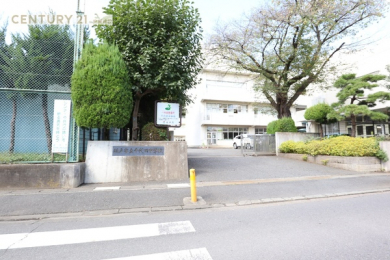 ӊ@ywZzˎscwZF976m