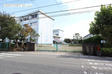 ӊ@ywZzˎscwZF510m