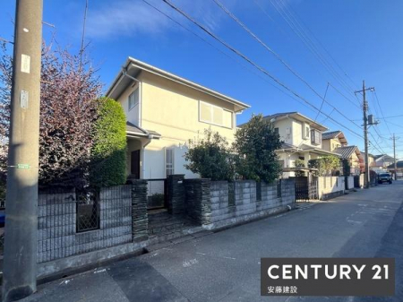 ̑n@Ԓʂ̏ȂՐÂȏZXł̂т̂ѐłDn