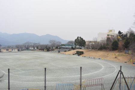 ӊ@ywZzs䏬wZF817m