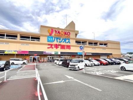 ���ӊ��@�y�h���b�O�X�g�A�z�X�M��ǋ��R�X�F1169m