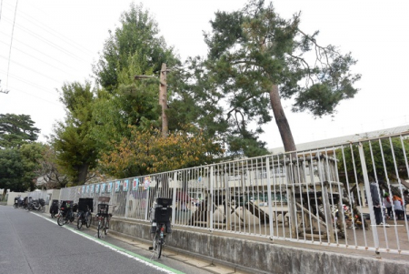 ӊ@yctEۈ牀zᑐctF347m