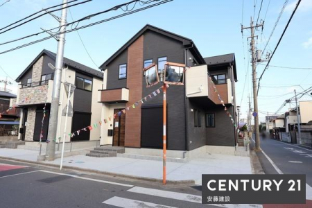 ���̑����n�@�J���I�ŗz������ǍD�ȓ쐼�p�n�ɗ��n