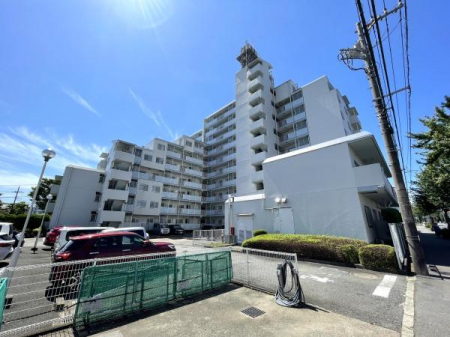 �@�k���O�ώʐ^�{�~�n�����ԏ�