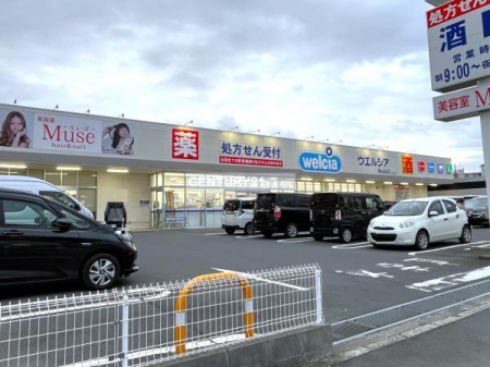 ���ӊ��@�y�h���b�O�X�g�A�z�E�G���V�A���R��X�F281m