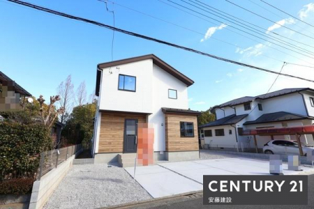 ���̑����n�@���n�O��