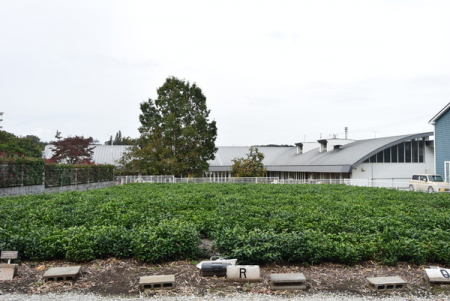 ���ӊ��@�y�c�t���E�ۈ牀�z���X�ۈ牀�F1488m