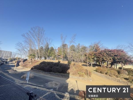 �Z�˂���̒��]�ʐ^�@�גn����