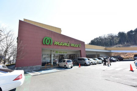 ���ӊ��@�y�X�[�p�[�z�}�~�[�}�[�g�є\�����u�X�F2065m