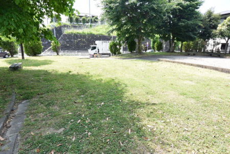 ���ӊ��@�y�����z���̓c�����F203m