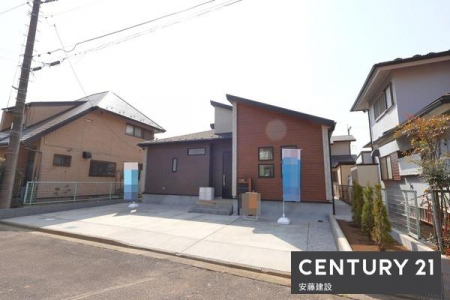 ���̑����n�@���n�O��
���ӂɗz���Ղ錚�����Ȃ��J���I�ō̌��L���Ȑ��`�n�I