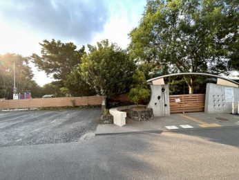 ���ӊ��@�y�c�t���E�ۈ牀�z���̎q�ۈ牀�F440m