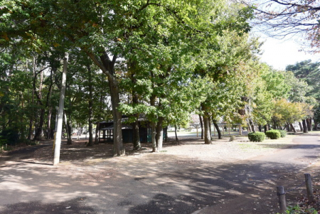 ���ӊ��@�y�����z�Β����������F1173m