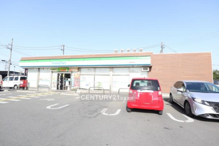 ���ӊ��@�y�R���r�j�z�t�@�~���[�}�[�g�є\�o���X�F307m