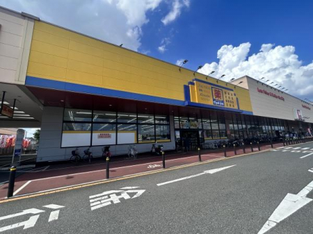 ���ӊ��@�y�h���b�O�X�g�A�z�}�c���g�L���V �x�X�^���R�X�F826m