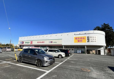 ���ӊ��@�y�h���b�O�X�g�A�z�h���b�O�Z�C���X�������h�X�F922m