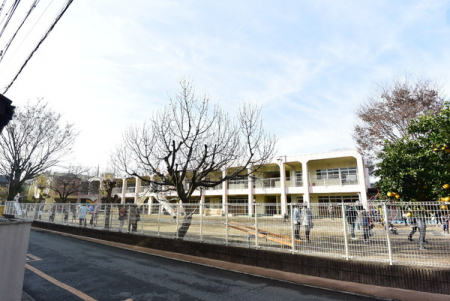 ���ӊ��@�y�c�t���E�ۈ牀�z�݂��c�t���F244m