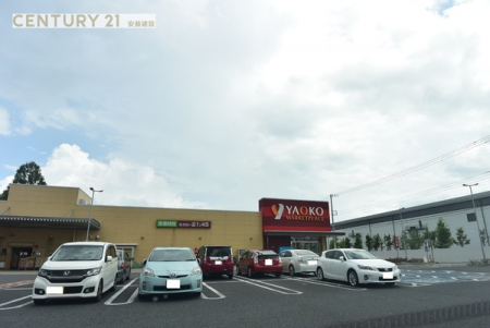 ���ӊ��@�y�X�[�p�[�z���I�R�[�߃����X�F717m