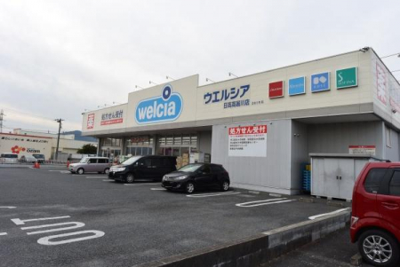 ���ӊ��@�y�h���b�O�X�g�A�z�E�G���V�A���������X�F492m