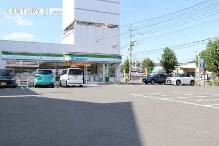 ���ӊ��@�y�R���r�j�z�t�@�~���[�}�[�g��ː��c�꒚�ړX�F463m