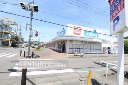 ���ӊ��@�y�h���b�O�X�g�A�z�E�G���V�A�z���X�F2246m